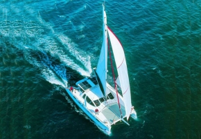 catana 581-1